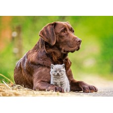 Пазл Castorland - Пес та кошеня, (120 деталей MIDI) Castor Land