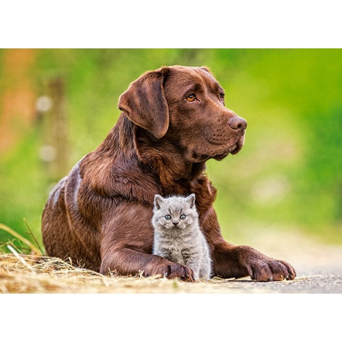 Пазл Castorland - Пес та кошеня, (120 деталей MIDI) Castor Land