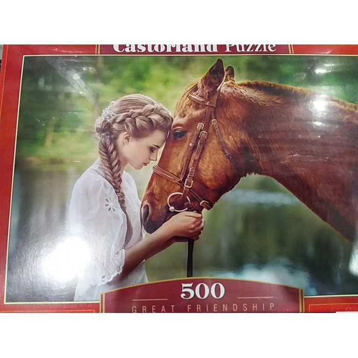 Castorland, Велика дружба, 500ел.