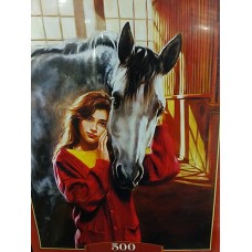 Castorland, Дружба, 500ел.