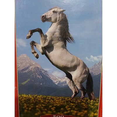 Castorland, Paso Fino, 500eл.