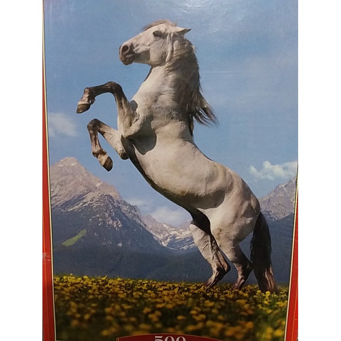 Castorland, Paso Fino, 500eл.