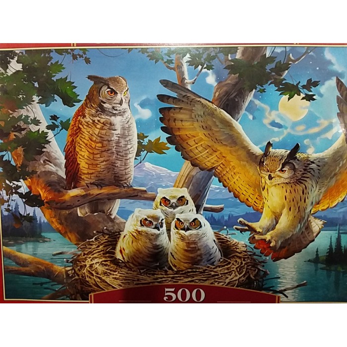 Castorland, Сімейство сов, 500ел.