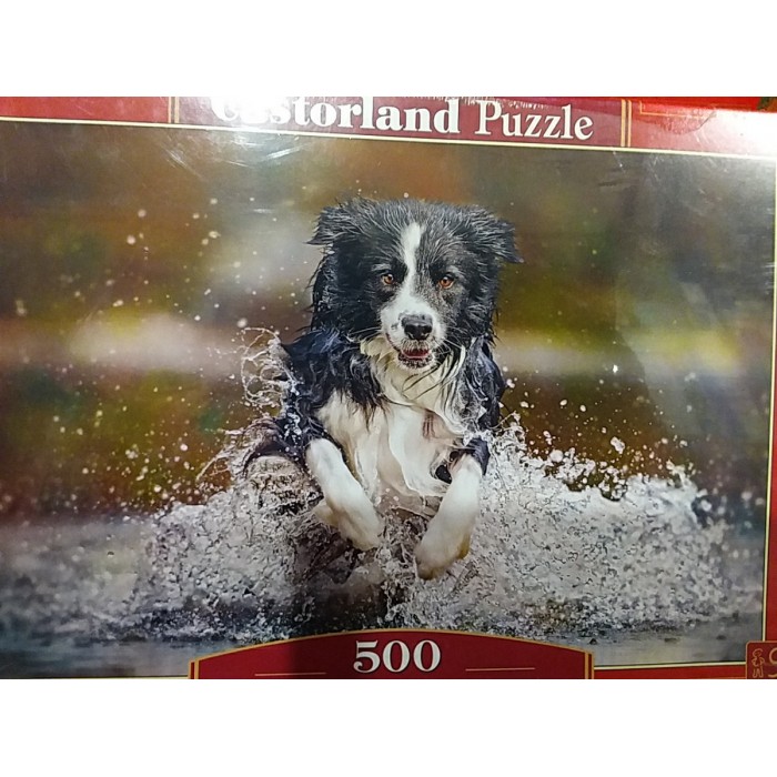 Castorland, Смак свободи, 500ел.