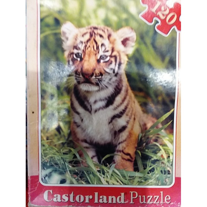 Castorlend, " Маленьке тигреня", 120ел.