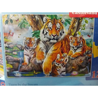 Castorlend, "Сімейство тигрів" 120ел.