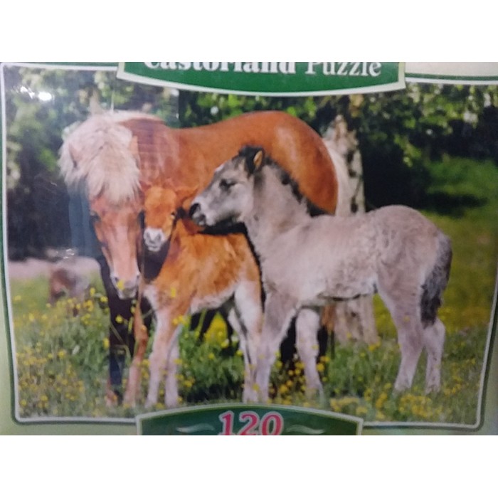 Castorlend, "Лошадка, телятко та віслючок", 120ел.