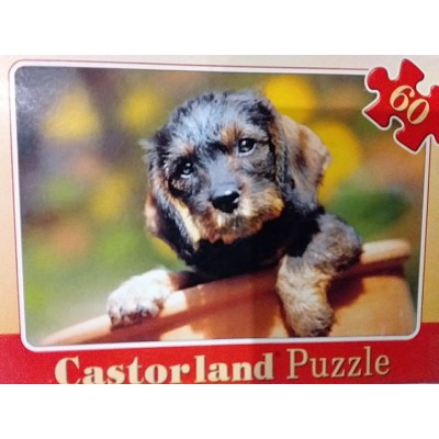 Castorland, " Цуценя", 60ел.