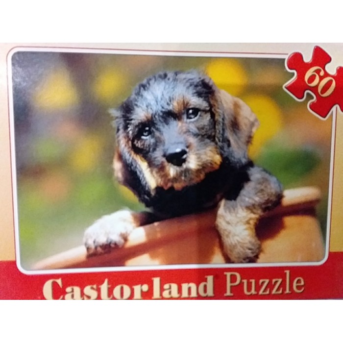 Castorland, " Цуценя", 60ел.