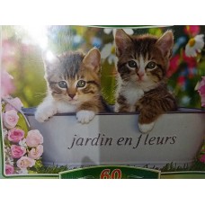 Castorland, "Кошенята в мисочці", 60ел