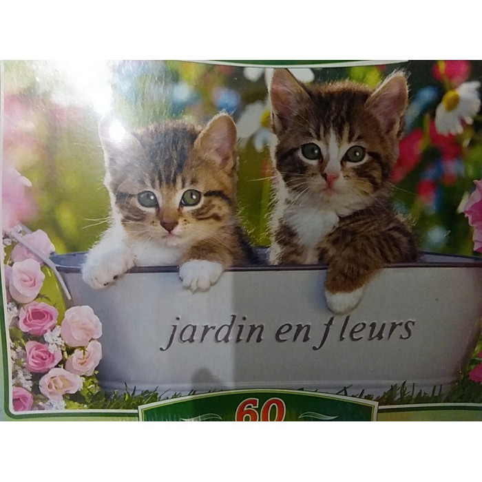 Castorland, "Кошенята в мисочці", 60ел