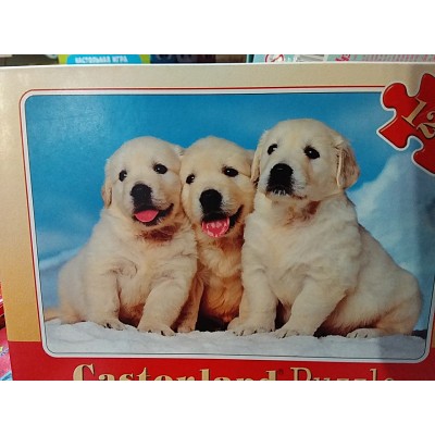 Castorland, "Три товариша цуцика", 120ел