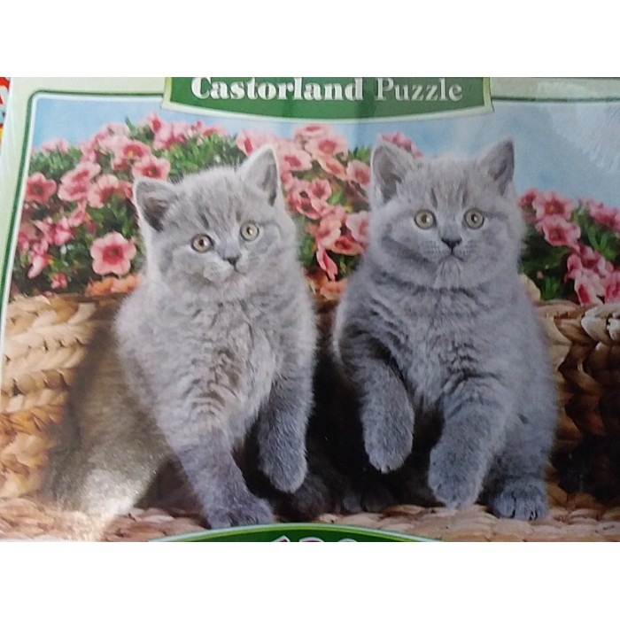 Castorland, "Кошенята", 120ел