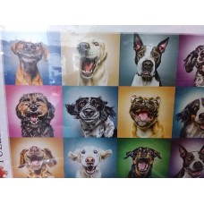 Trefl, "Портрети кумедний песиків", 1000ел.