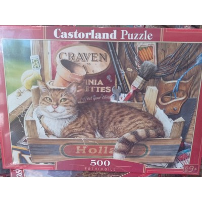 Castorland, Фотергіл, 500ел.