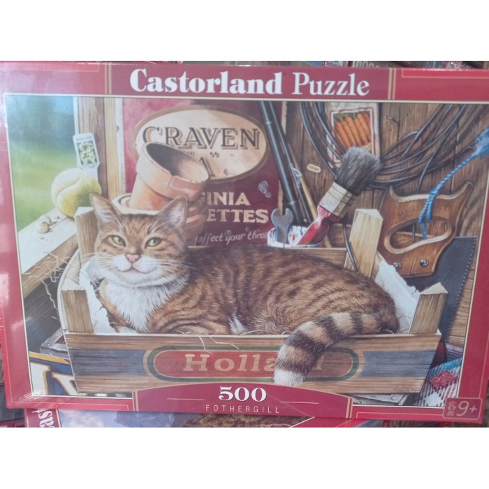 Castorland, Фотергіл, 500ел.