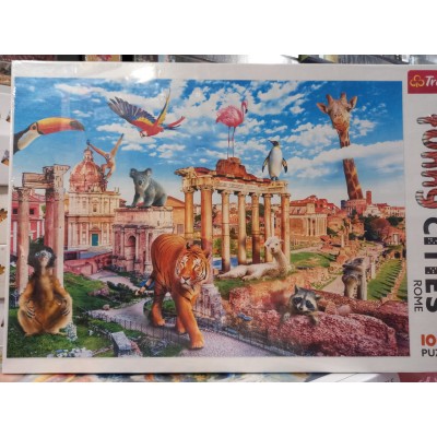 Trefl, Цікавий Рим, 1000ел