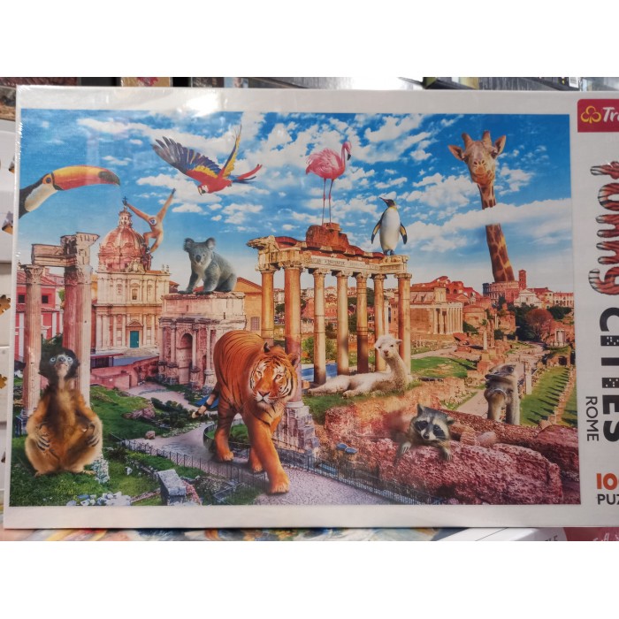 Trefl, Цікавий Рим, 1000ел