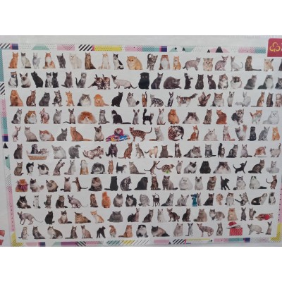 Trefl, Породи котів, 1000ел