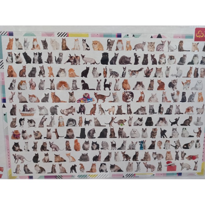 Trefl, Породи котів, 1000ел