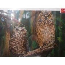 Trefl, Сови, 1000ел