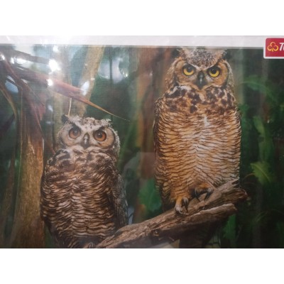 Trefl, Сови, 1000ел