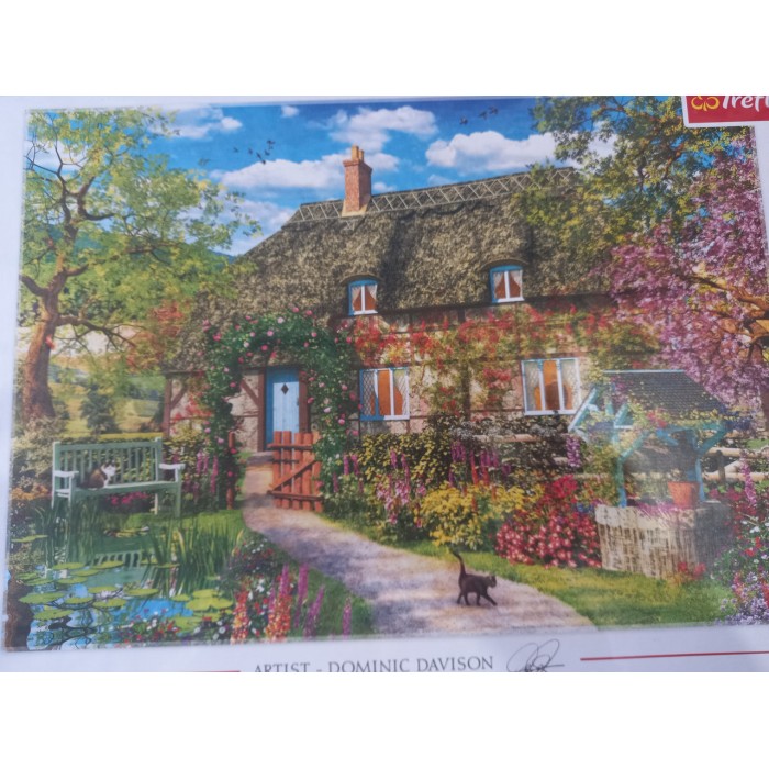 Trefl, Домінік Девісон. Старий котедж. 2000ел
