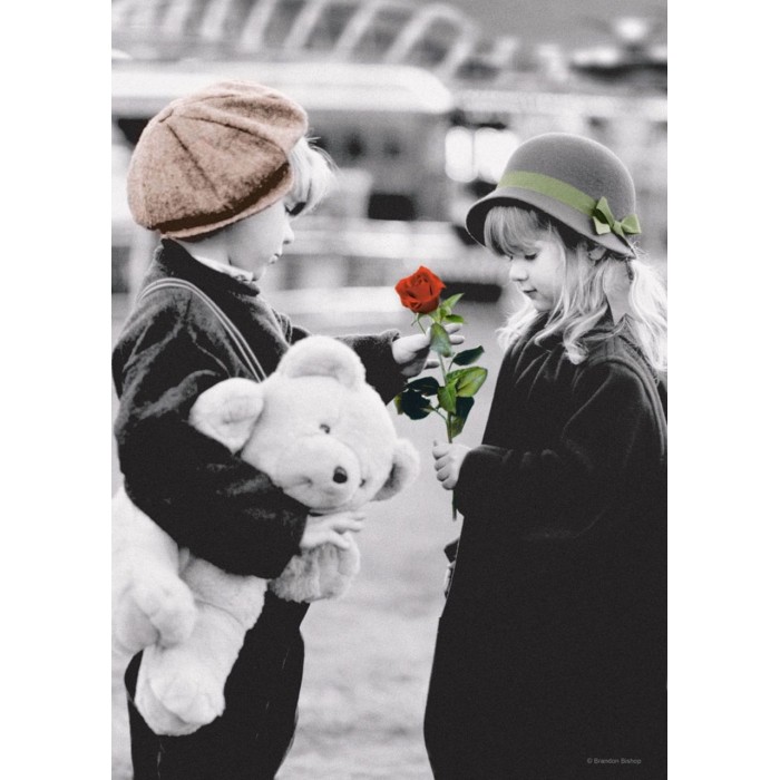 Пазл Castorland - Троянда (The Rose), 500ел