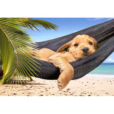 Пазл Castorland - Час відпочинку(Leisure Time), 500ел