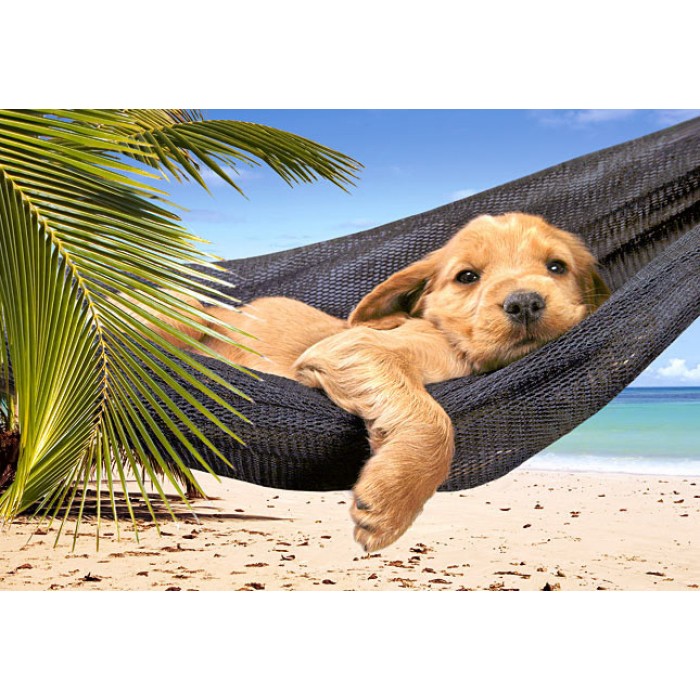 Пазл Castorland - Час відпочинку(Leisure Time), 500ел