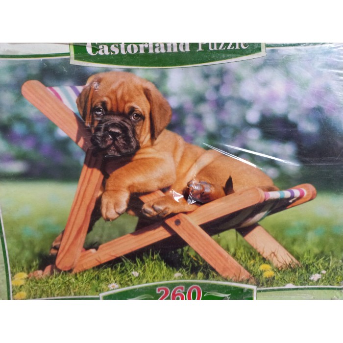Castorland - Цуценя Дога на відпочинку, 260 ел.