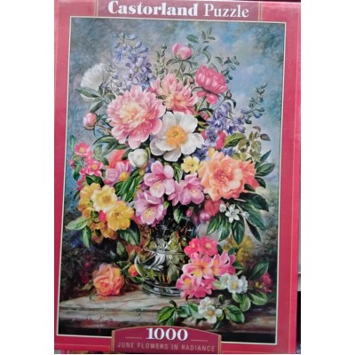 Castorland - Букет літніх квітів, 1000ел