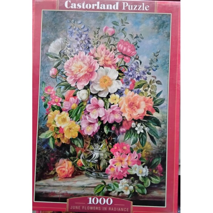 Castorland - Букет літніх квітів, 1000ел