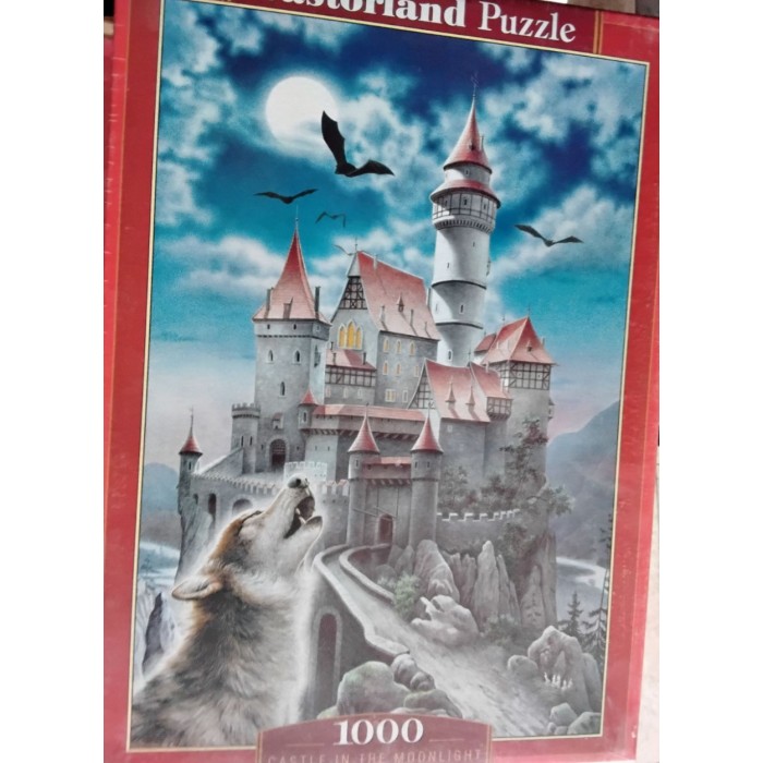 Castorland - Замок вночі, 1000ел
