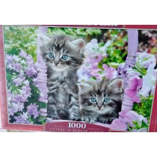 Castorland - Кошеня в весняному саду, 1000ел