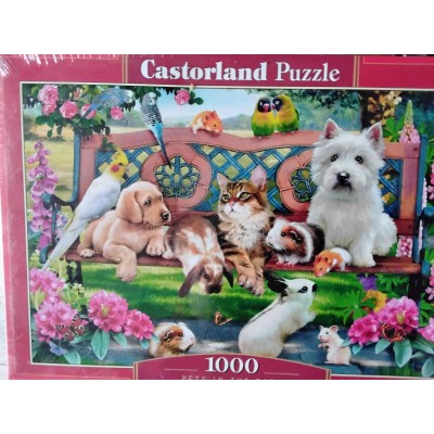 Castorlаnd - Домашні улюбленці в саду, 1000ел.
