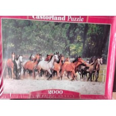 Castorland - Коні. Народжені вільними, 2000ел