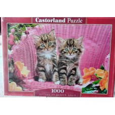 Castorland - Кошенята в садовому кріслі, 1000ел