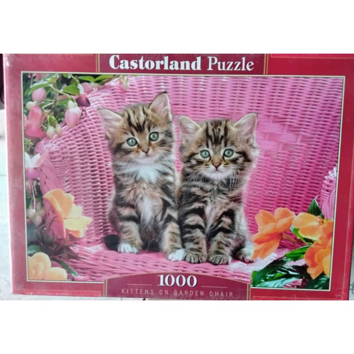 Castorland - Кошенята в садовому кріслі, 1000ел