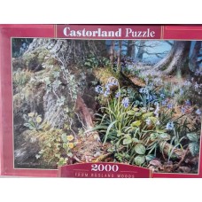 Castorland - Ліс, 2000ел.