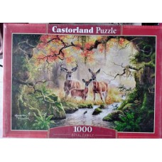 Castorland - Королівська сім'я, 1000ел
