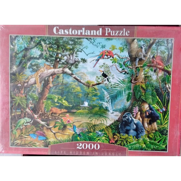 Castorland - Життя в джунглях, 2000ел.