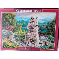 Castorland - Нова генерація, 1000ел