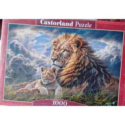 Castorland - Батько та син, 1000ел