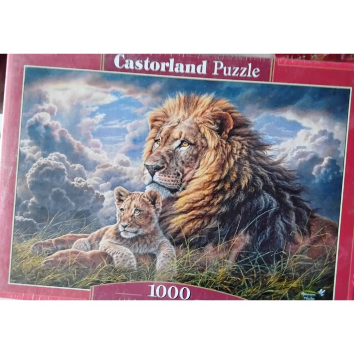 Castorland - Батько та син, 1000ел