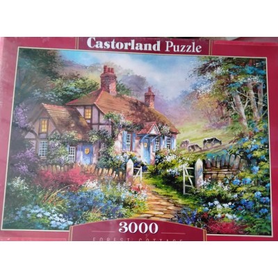 Castorland - Котедж у лісі, 3000ел.