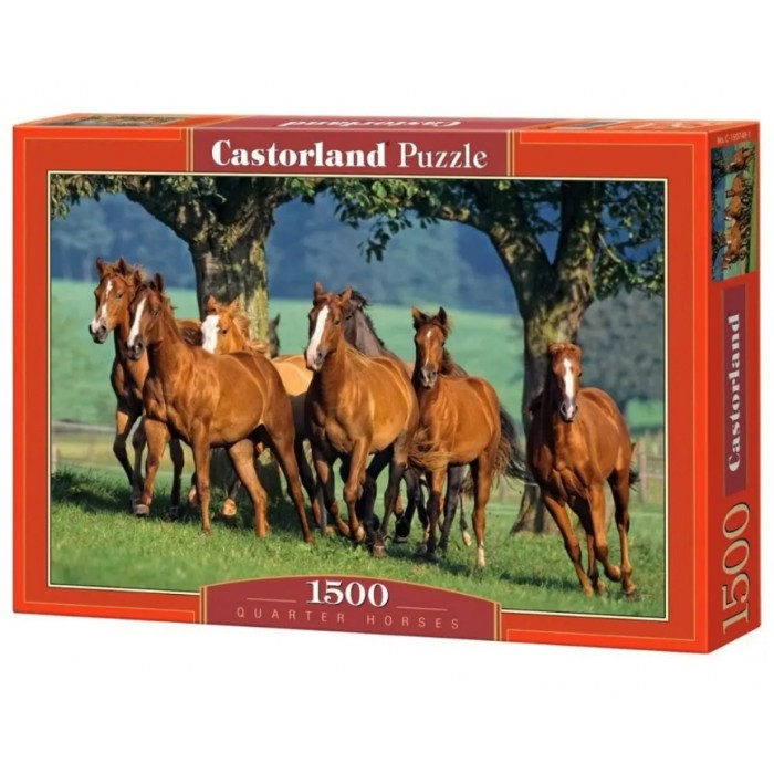 Castorland - Табун коней, 1500ел.