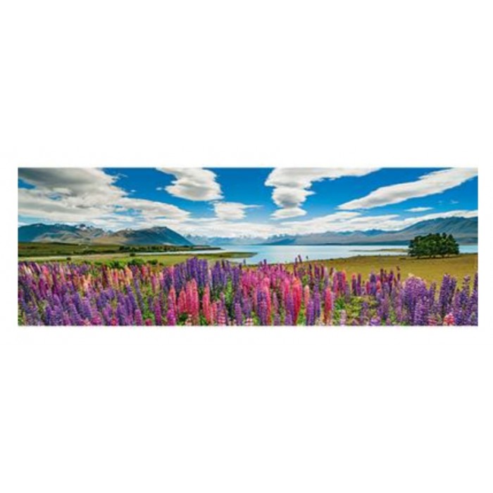 Heye - Панорама: Озеро Текапо (Panorama: Lake Tekapo), 1000 ел