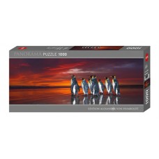 Heye - Панорама: Королівські пінгвіни (Panorama: King penguins), 1000 ел