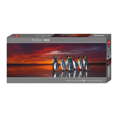 Heye - Панорама: Королівські пінгвіни (Panorama: King penguins), 1000 ел